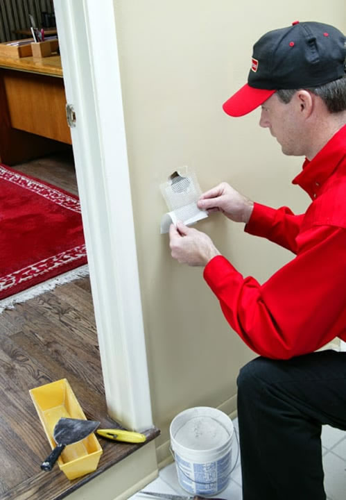 Drywall Repair in Heath, TX